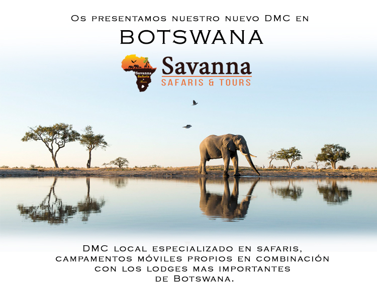 Launch Savannah Safaris & Tours Website
